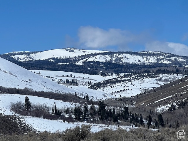 1500 S Little Valley Rd, Paris, Idaho image 6