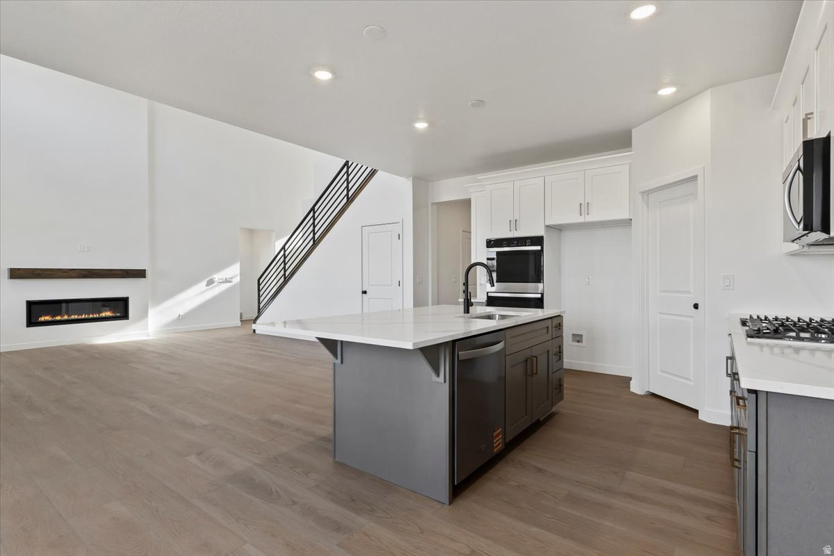 NORTH LAKE MEADOWS - Residential