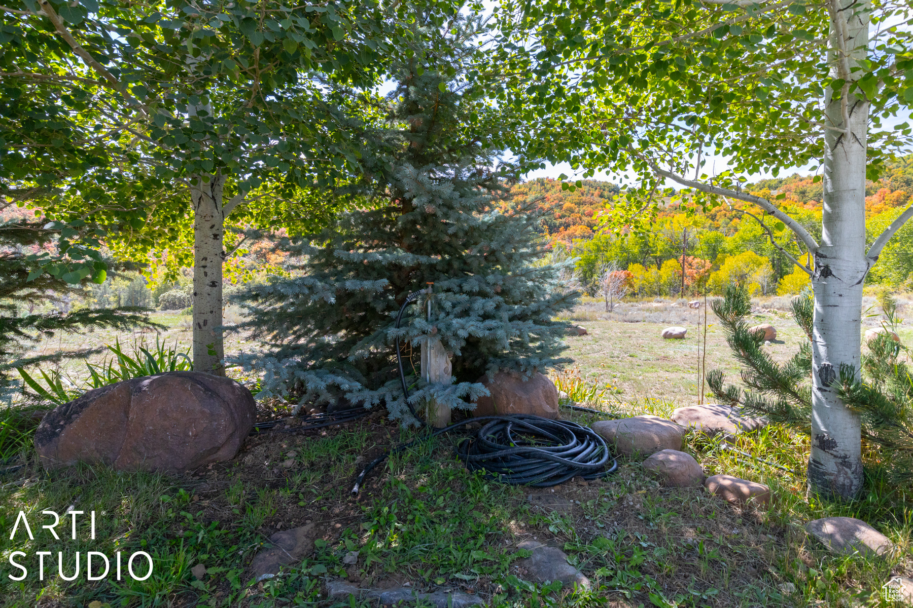 2736 N Evergreen Park Dr #300, Huntsville, Utah image 7