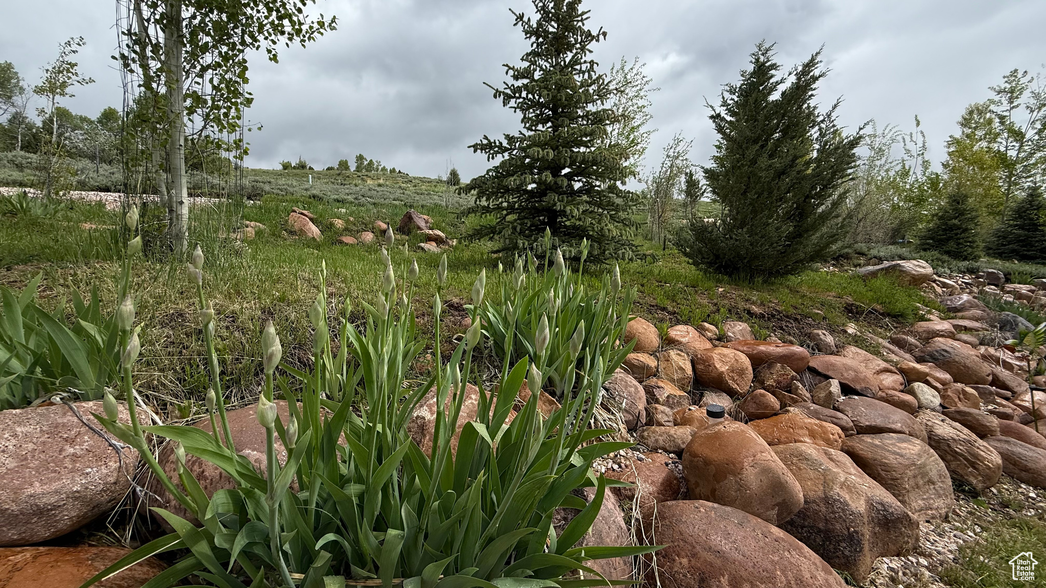 2736 N Evergreen Park Dr #300, Huntsville, Utah image 8