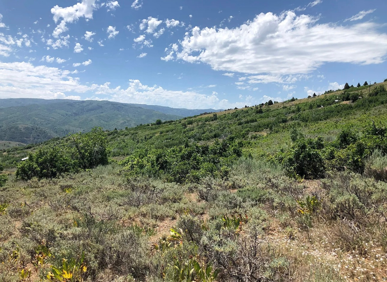 EVERGREEN PARK NO. 1 - Land