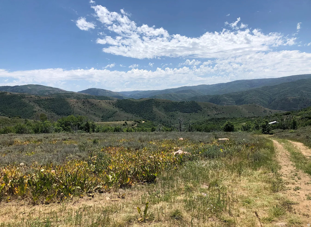 EVERGREEN PARK NO. 1 - Land