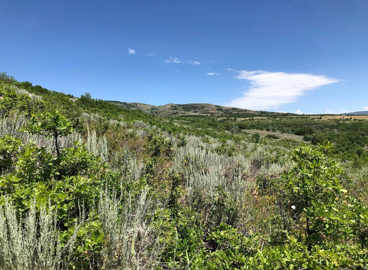 EVERGREEN PARK NO. 1 - Land