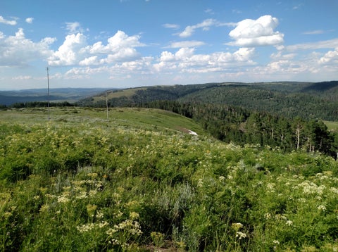 Vacant Land For Sale - 14 E See Directions #14 E<br/> Sanpete County, Fairview, UT 84629