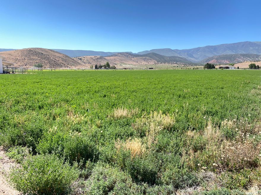 Beautiful 53 Acres in a secluded area in Glenwood. Property has a mixture of Irrigated land and pasture with an area for equipment and horse/livestock pens. BLM behind you so access to mountain riding at your back door. Can also have the possibility of being subdivided if wanted. Pressurized Irrigation along with wheel line is included. It really is a slice of heaven.