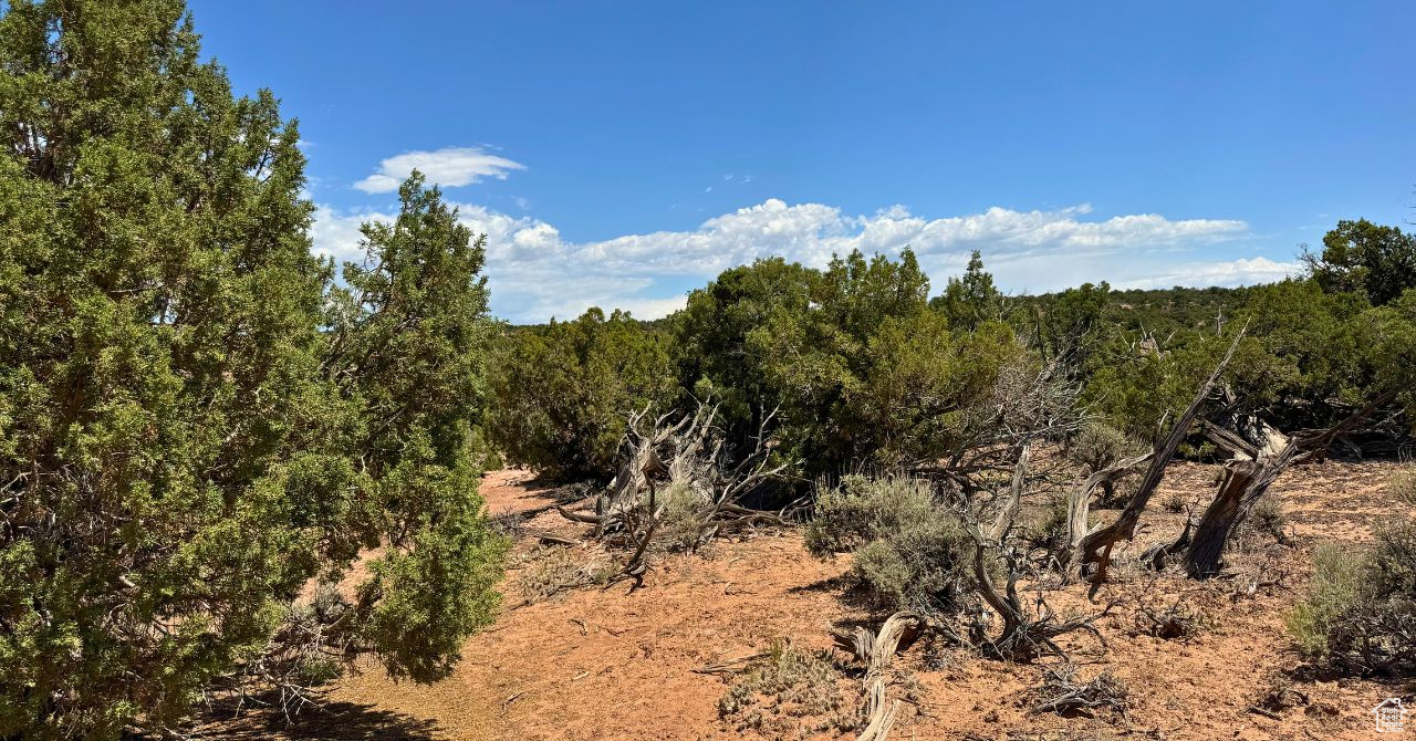 SUNDANCE WEST SUBDIVISION UNIT A - Land