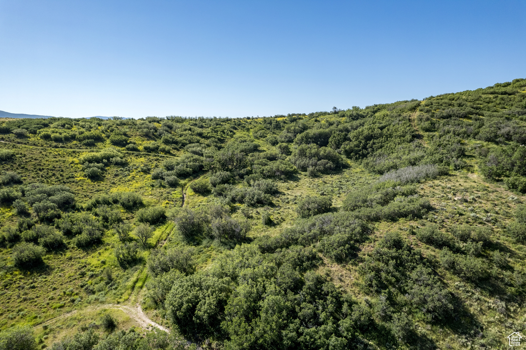 2901 Spring Hl #32, Coalville, Utah image 9