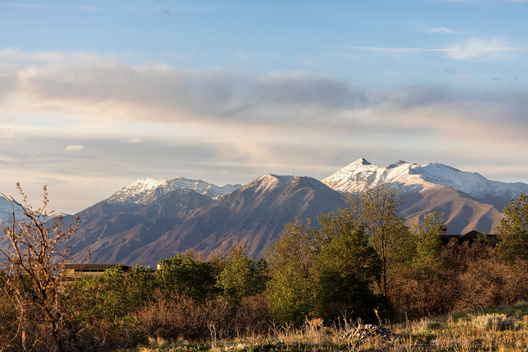 SUMMIT CREEK - Residential
