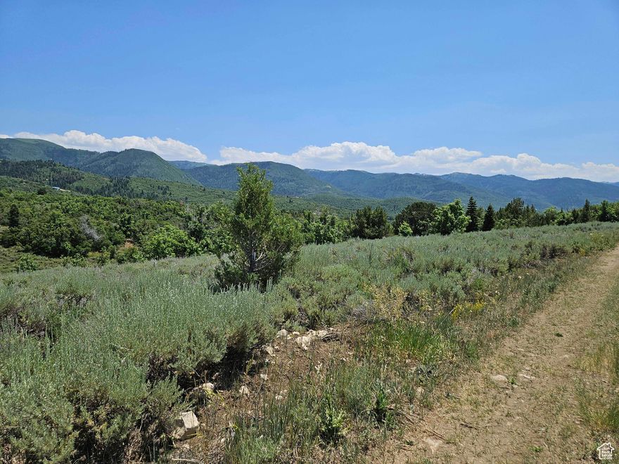 Lot - #156 in the Aspen Hills Subdivision. This property is located behind a locked gate within the subdivision. This allows a property owner access to the top of the property without having to use the Wolf Hollow Road below. Owner will provide buyer with a key at closing. Property has great views of the Manti La Sal Mountains and Sanpete valley. This property is located in a gated community. Contact listing agent for a Key to the Subdivision gates. Please use one of the South gates being gate 2 or gate 3. Gate 1 on the Aspen Hills road can be hard to open and close and the dirt road is not maintained - quite rough.