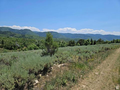 Photo of 156 E WOLF HOLLOW RD S #156, Fairview, UT 84629 (MLS # 2096550)