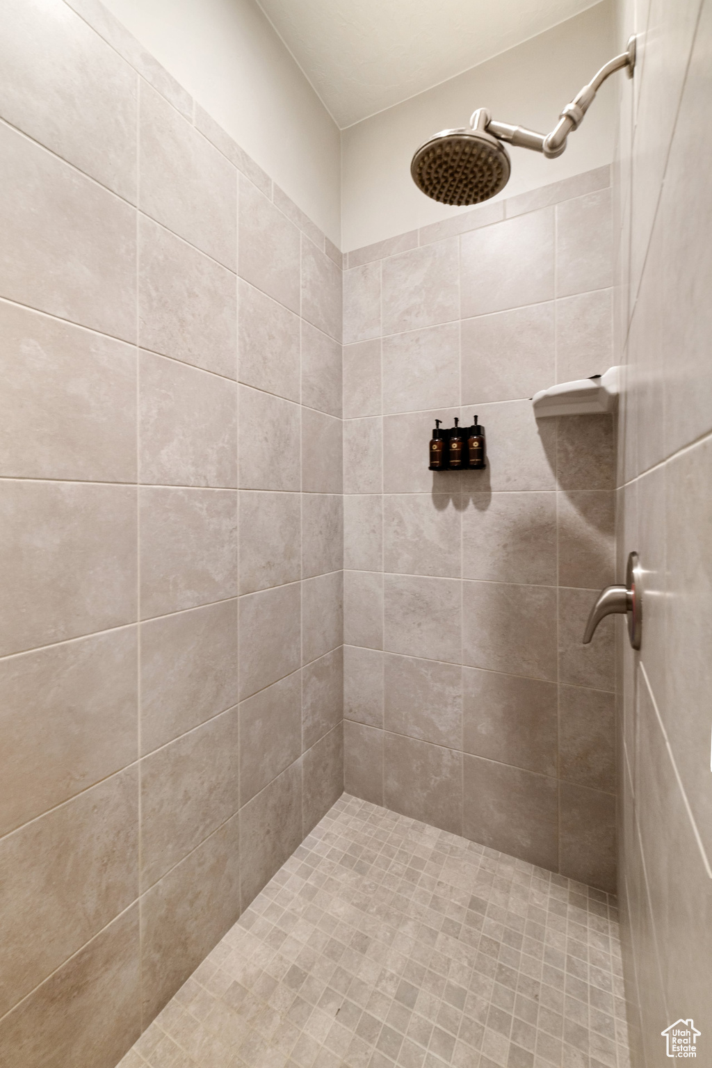 ESCAPES AT THE LEDGES PH 3 - Residential