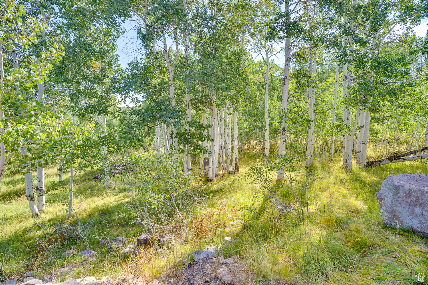 4571 Fawn Way, Heber City, Utah image 6