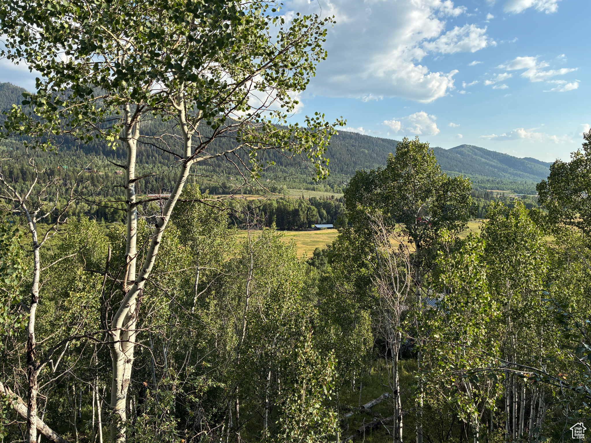 BEAVER SPRINGS RANCH - Residential