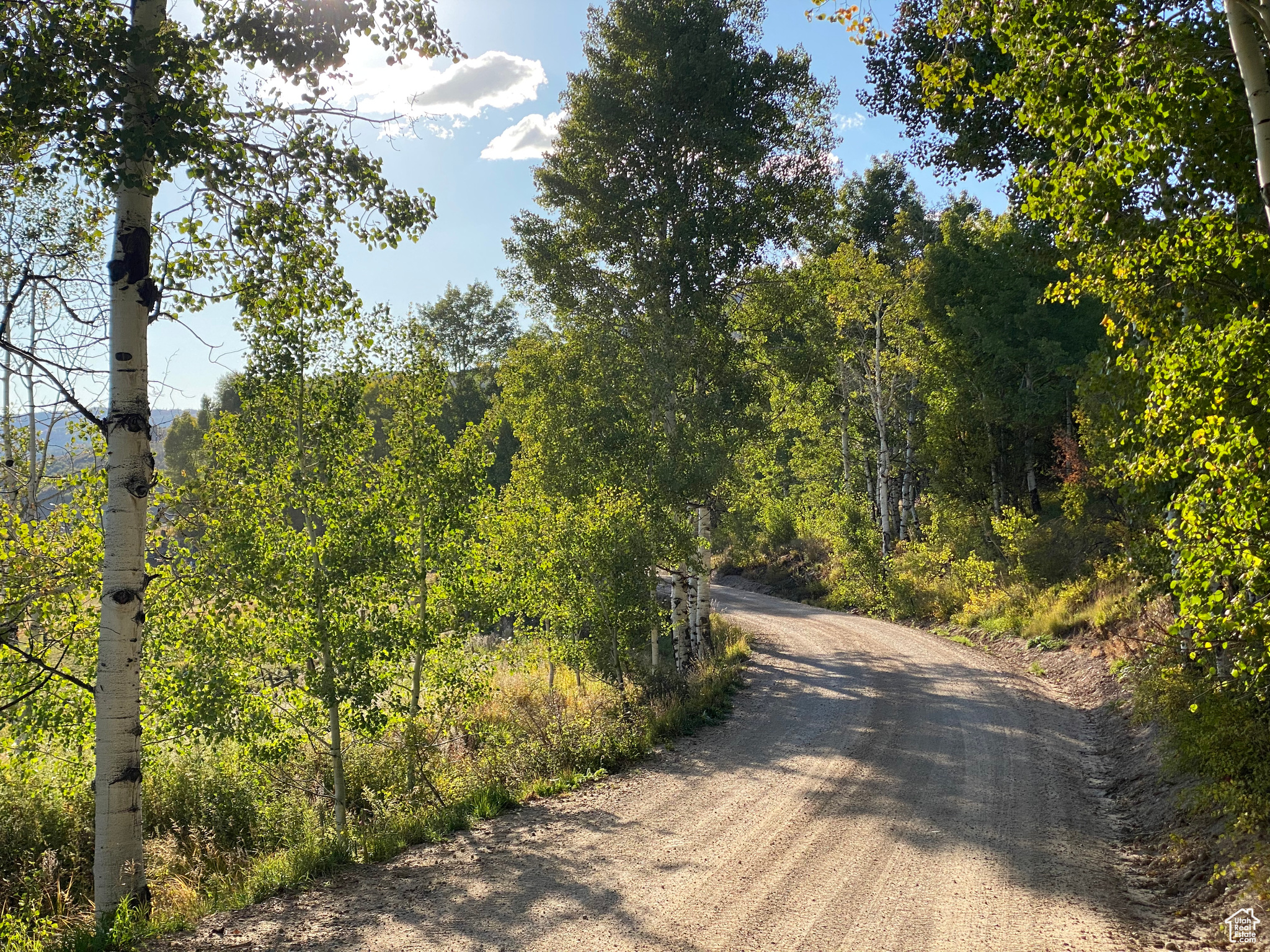 BEAVER SPRINGS RANCH - Residential