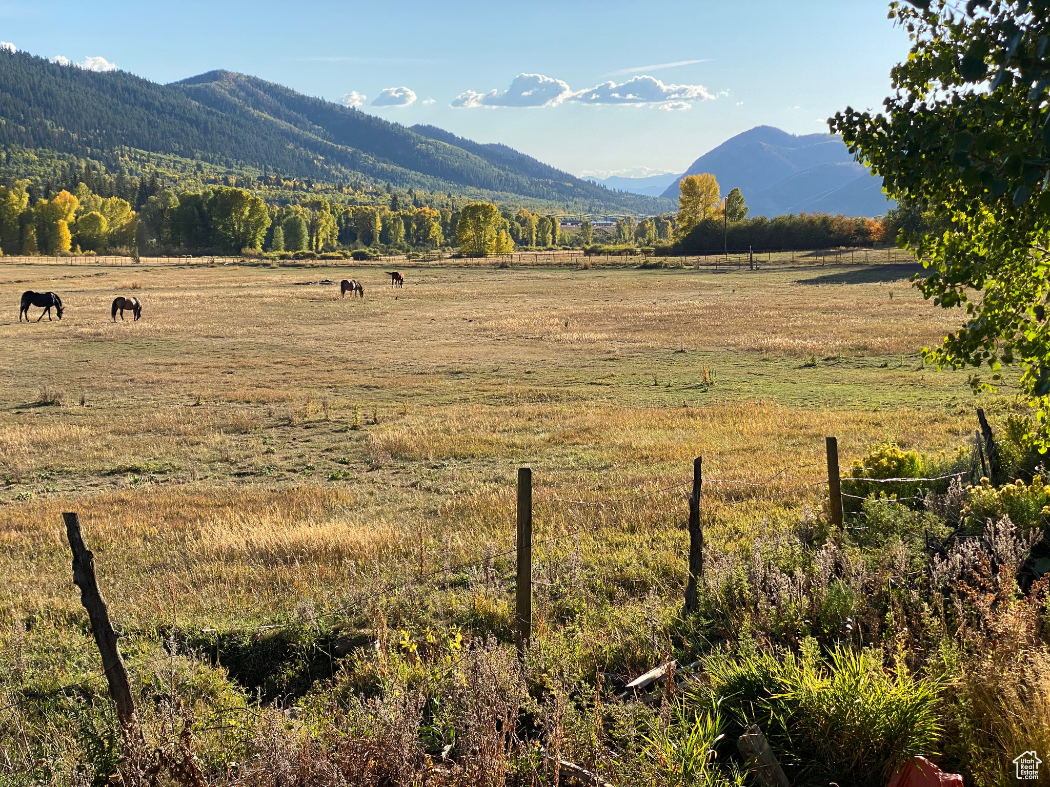 BEAVER SPRINGS RANCH - Residential