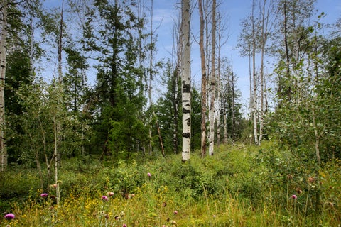 Tiny photo for #20-C, Spanish Fork, UT 84660 (MLS # 2168746)