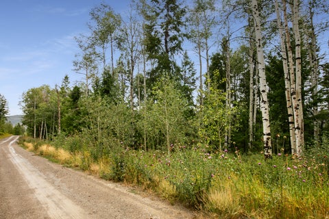 Tiny photo for #20-C, Spanish Fork, UT 84660 (MLS # 2168746)