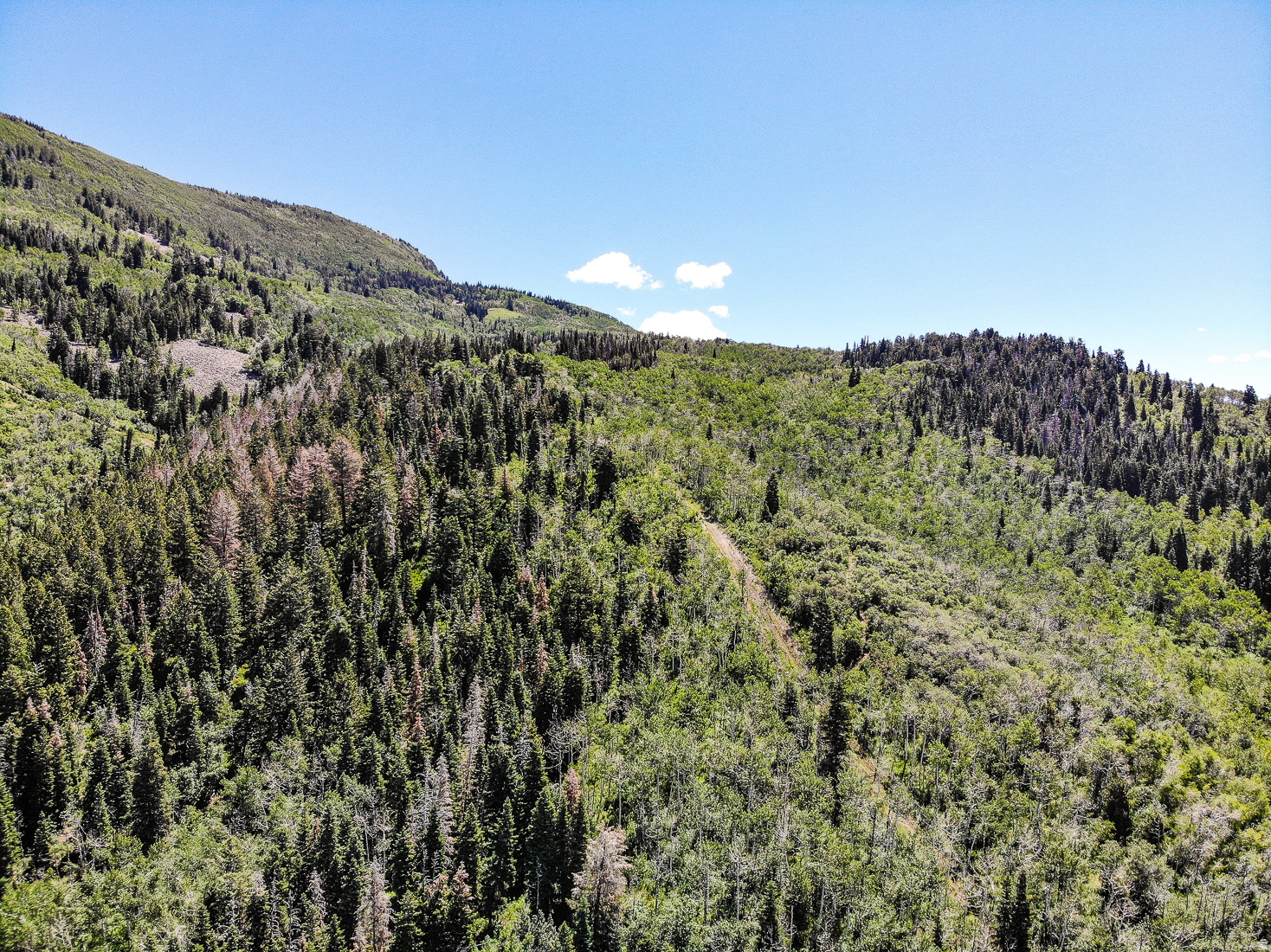 ELK HILLS - Residential