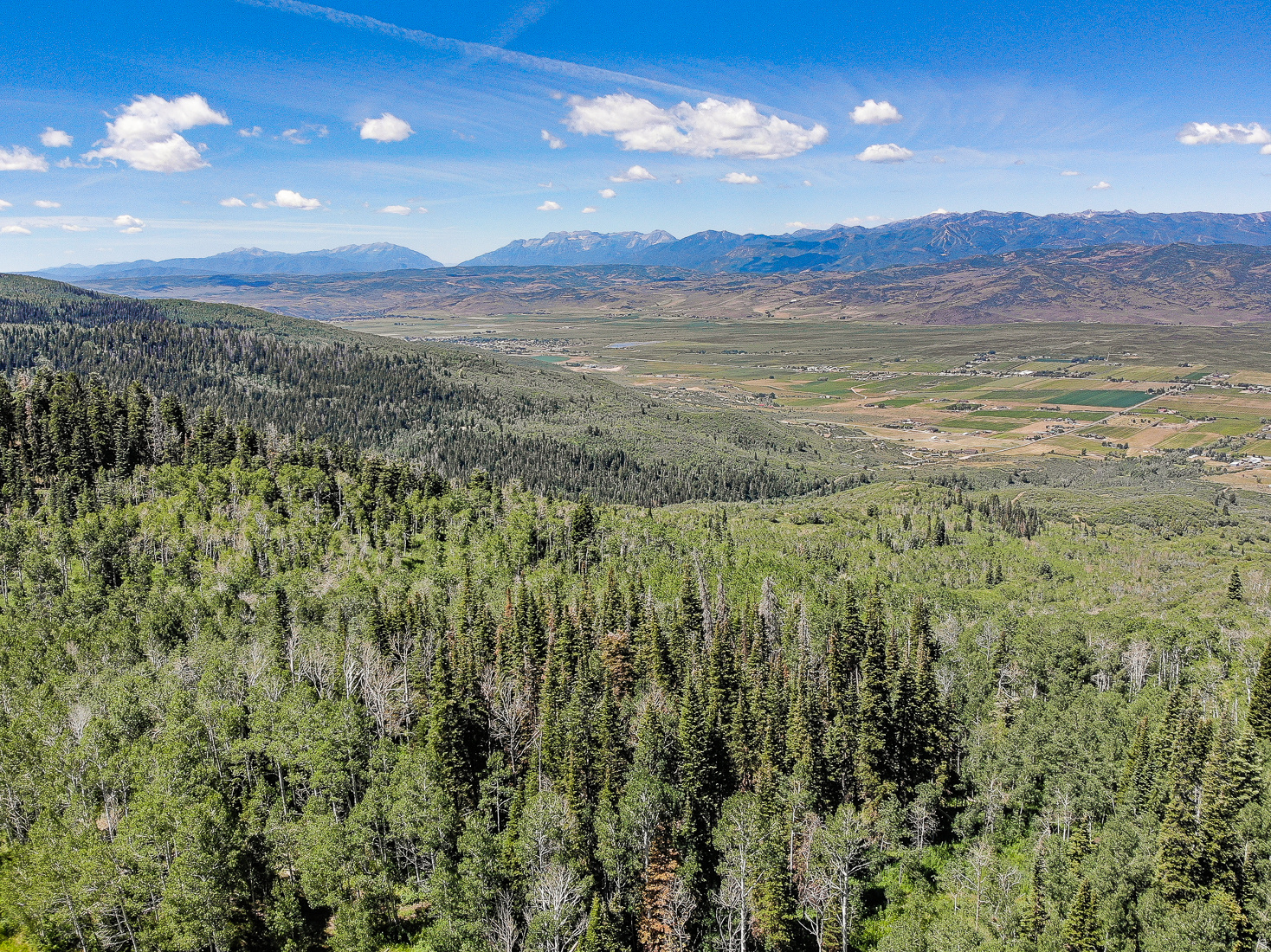 ELK HILLS - Residential