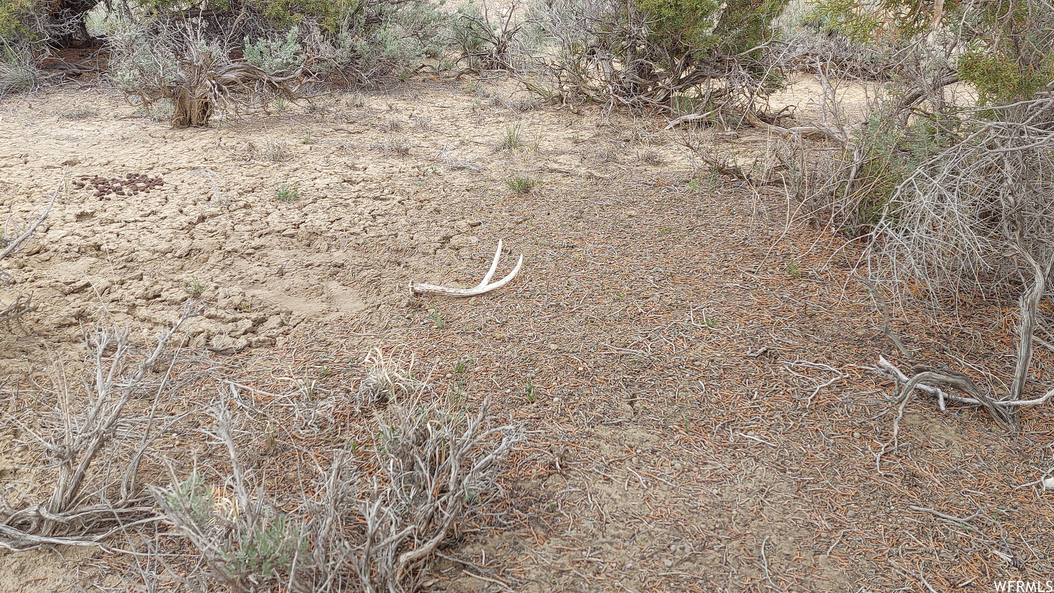 19736 W Toshas Trl #6, Duchesne, Utah image 7