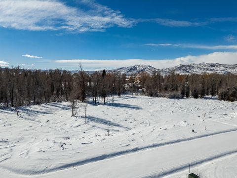Tiny photo for 829 RIVER HAVEN RD #111, Oakley, UT 84055 (MLS # 2138939)