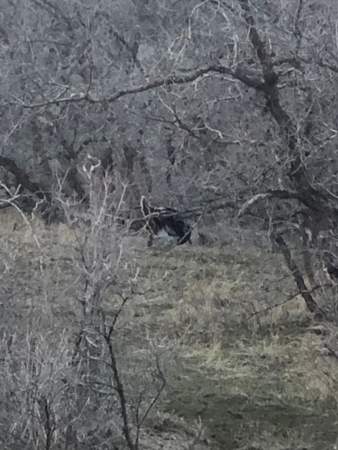 Tiny photo for 169 S MEADOW DR, Springville, UT 84663 (MLS # 2137896)