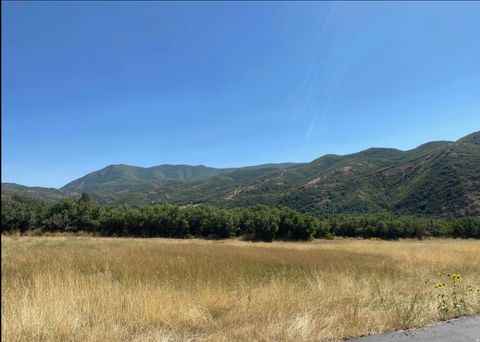 Tiny photo for 169 S MEADOW DR, Springville, UT 84663 (MLS # 2137896)