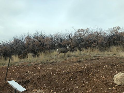 Tiny photo for 169 S MEADOW DR, Springville, UT 84663 (MLS # 2137896)