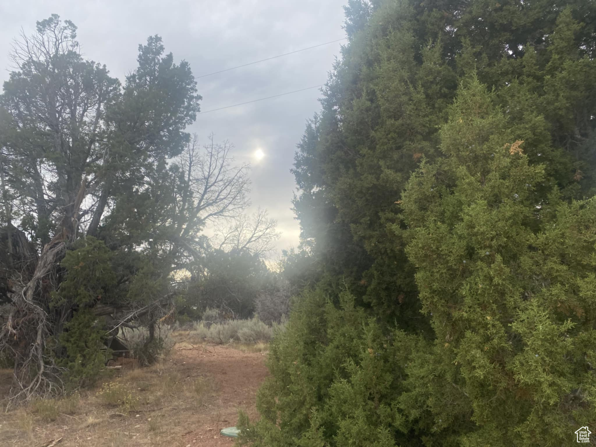 BANDANNA RANCH - Residential