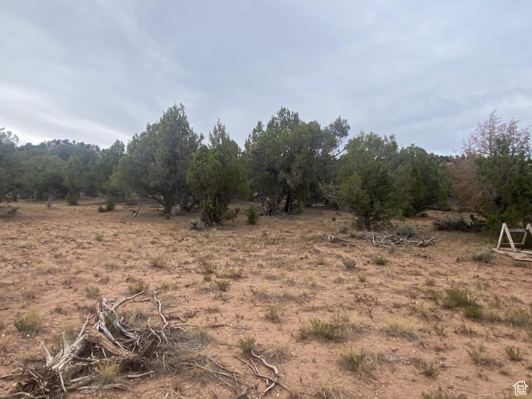 BANDANNA RANCH - Residential