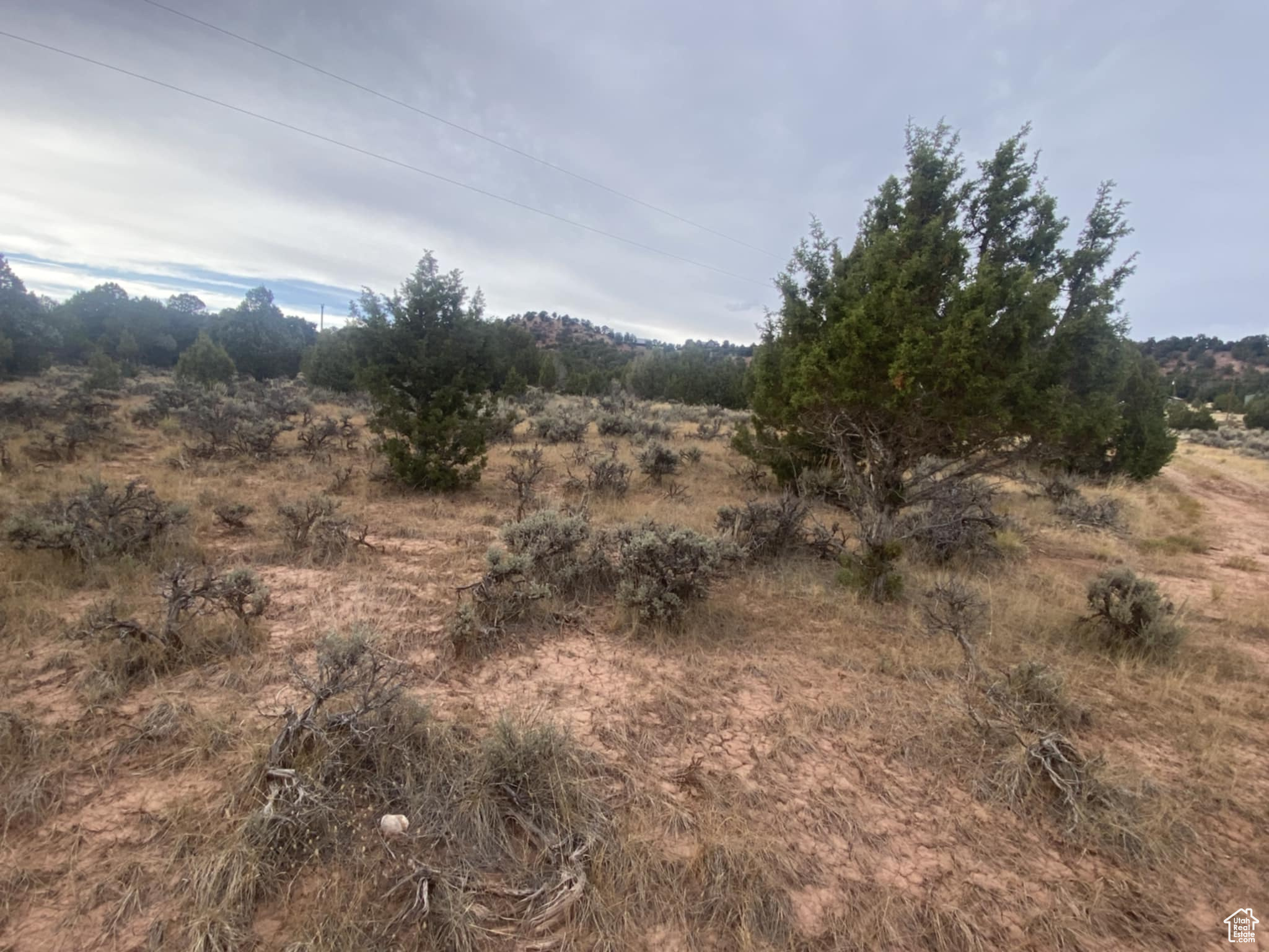 BANDANNA RANCH - Residential