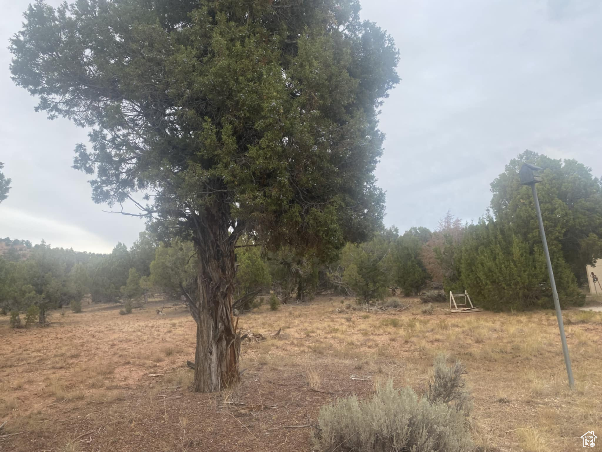 BANDANNA RANCH - Residential