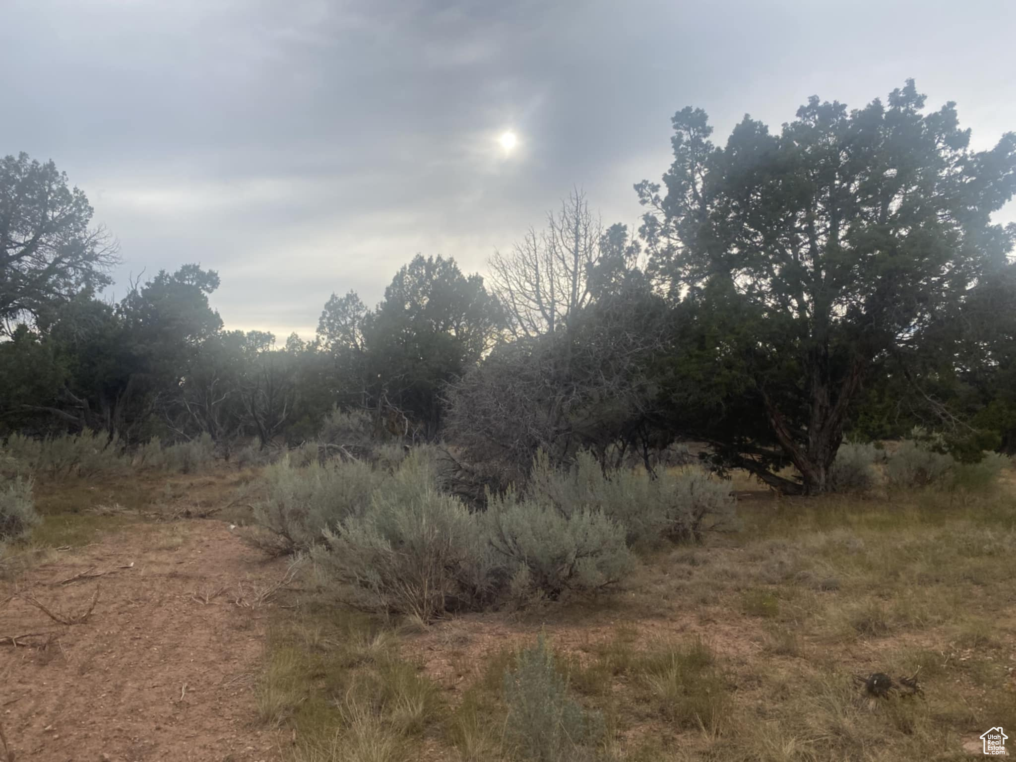 BANDANNA RANCH - Residential