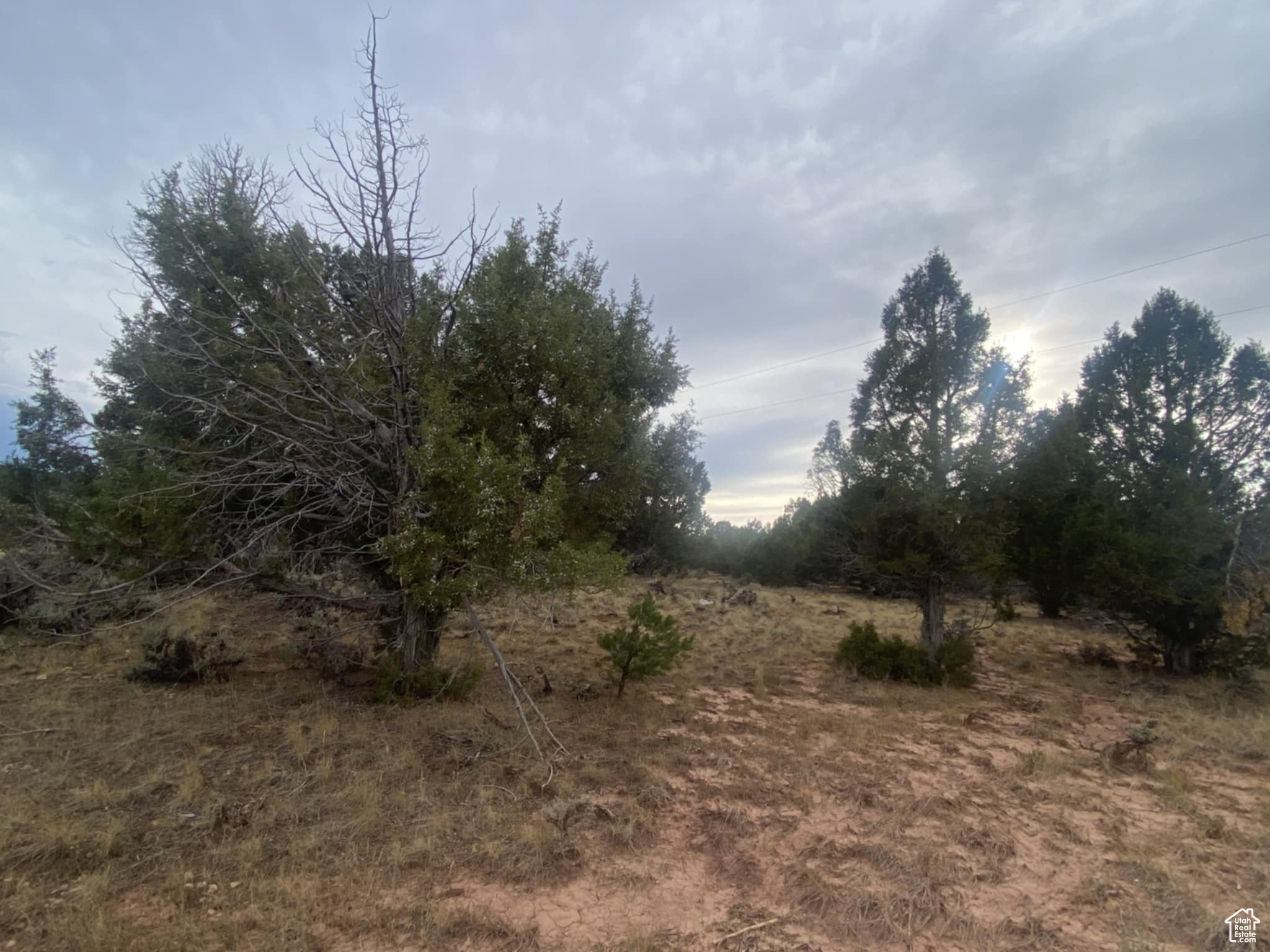 BANDANNA RANCH - Residential