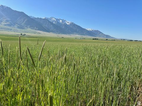 Vacant Land For Sale - Land<br/> Juab County, Mona, UT 84645