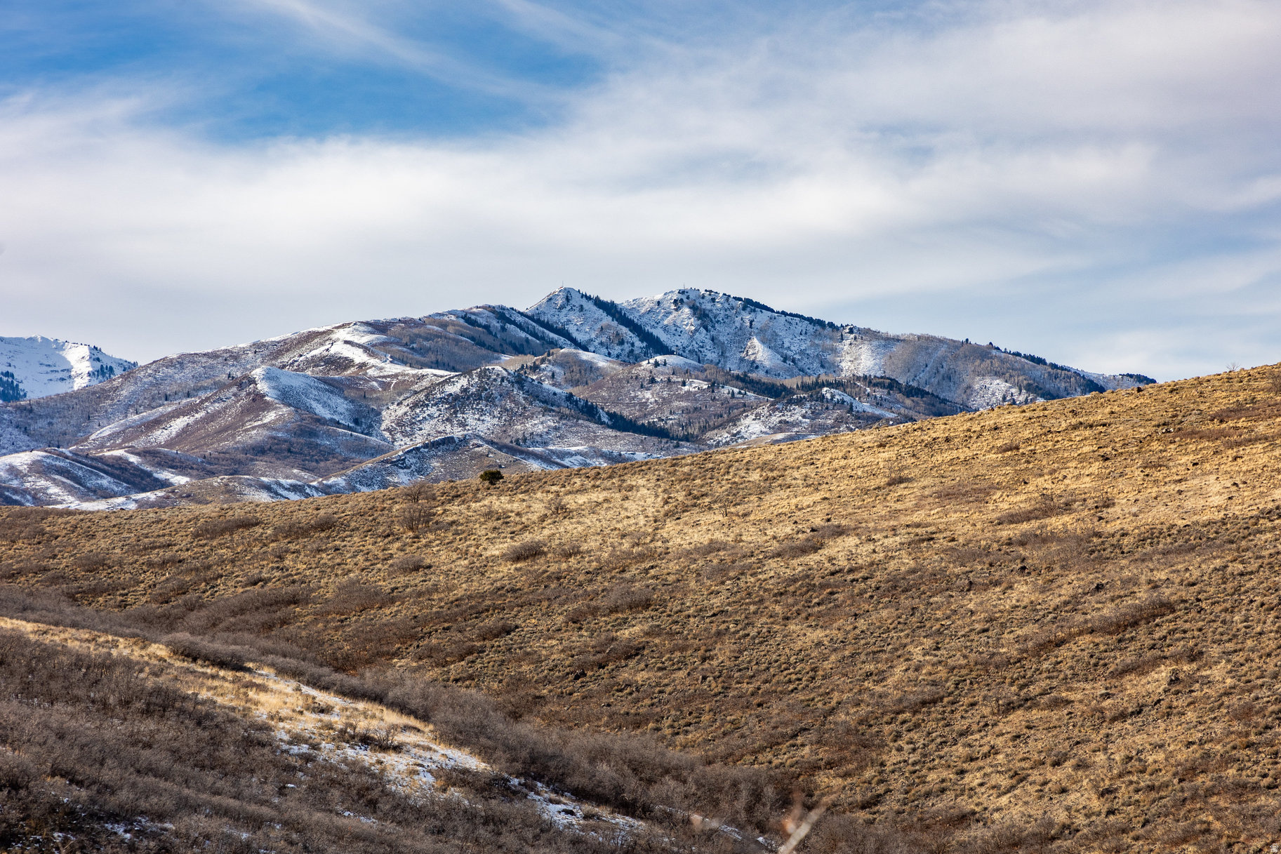 HI-COUNTRY ESTATES 2 - Land