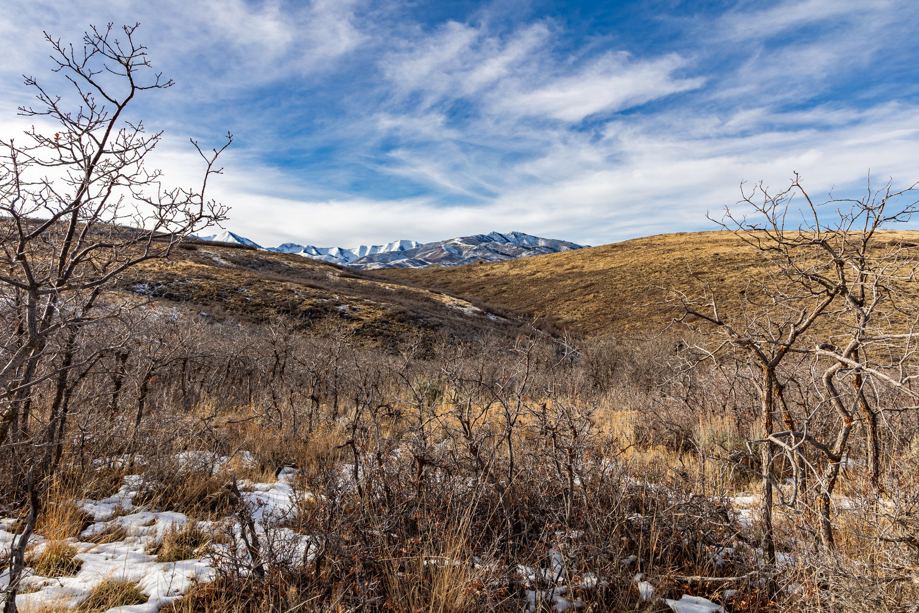 HI-COUNTRY ESTATES 2 - Land