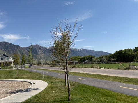 Tiny photo for 253 E VOLUNTEER DR #8-204, Spanish Fork, UT 84660 (MLS # 2163546)