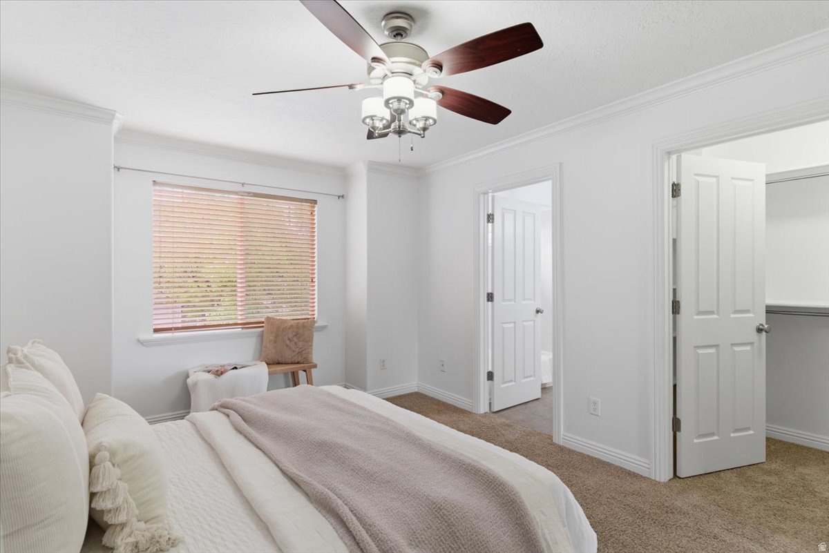 COOPERS HOLLOW RESIDENTIAL PUD PHASE 2 - Residential