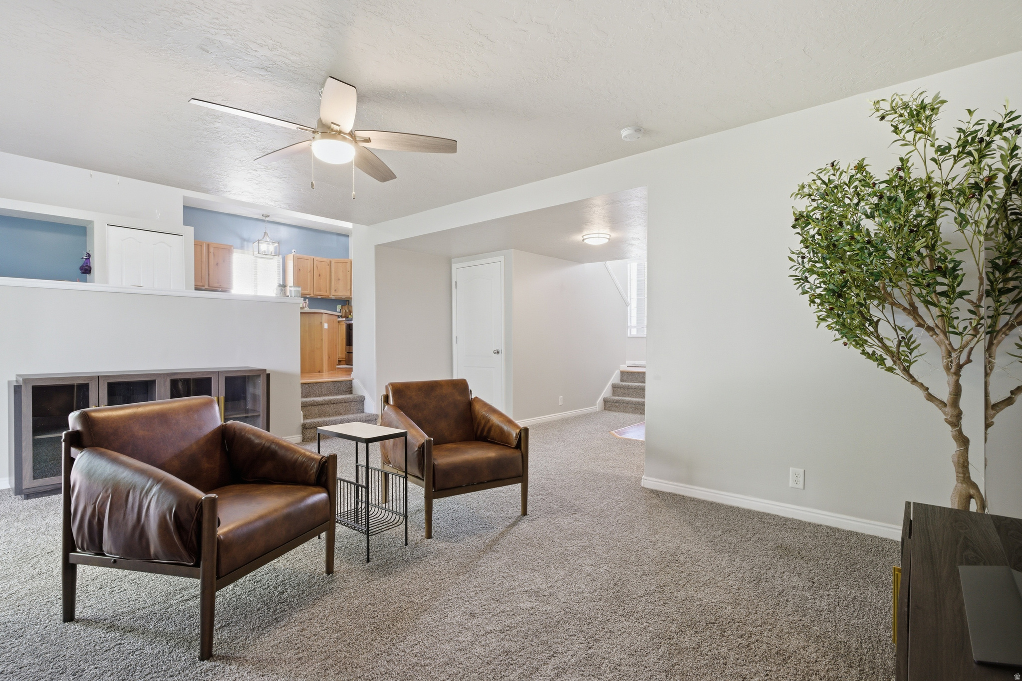 CARR FORK SUBDIVISION - Residential