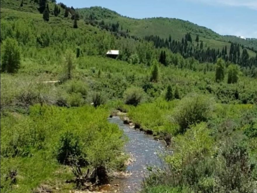 Beautiful lot in the Sunridge Ranches. Private wooded lot with lots of Aspen trees throughout. Pull your RV or camper up and enjoy a relaxing weekend in your very own spot. There is a septic tank and year round drinking water on the property. Amazing views of the mountains and all of the wildlife. Sunridge does have a private fishing lake and picnic pavilion available for you and your guests. Year round drinking water is connected and available at the lot. Winter access is by snow machine only. Don't miss this opportunity to enjoy the outdoors without having to hunt for a camping spot. Mountain community is gated and will require a gate key for entry.