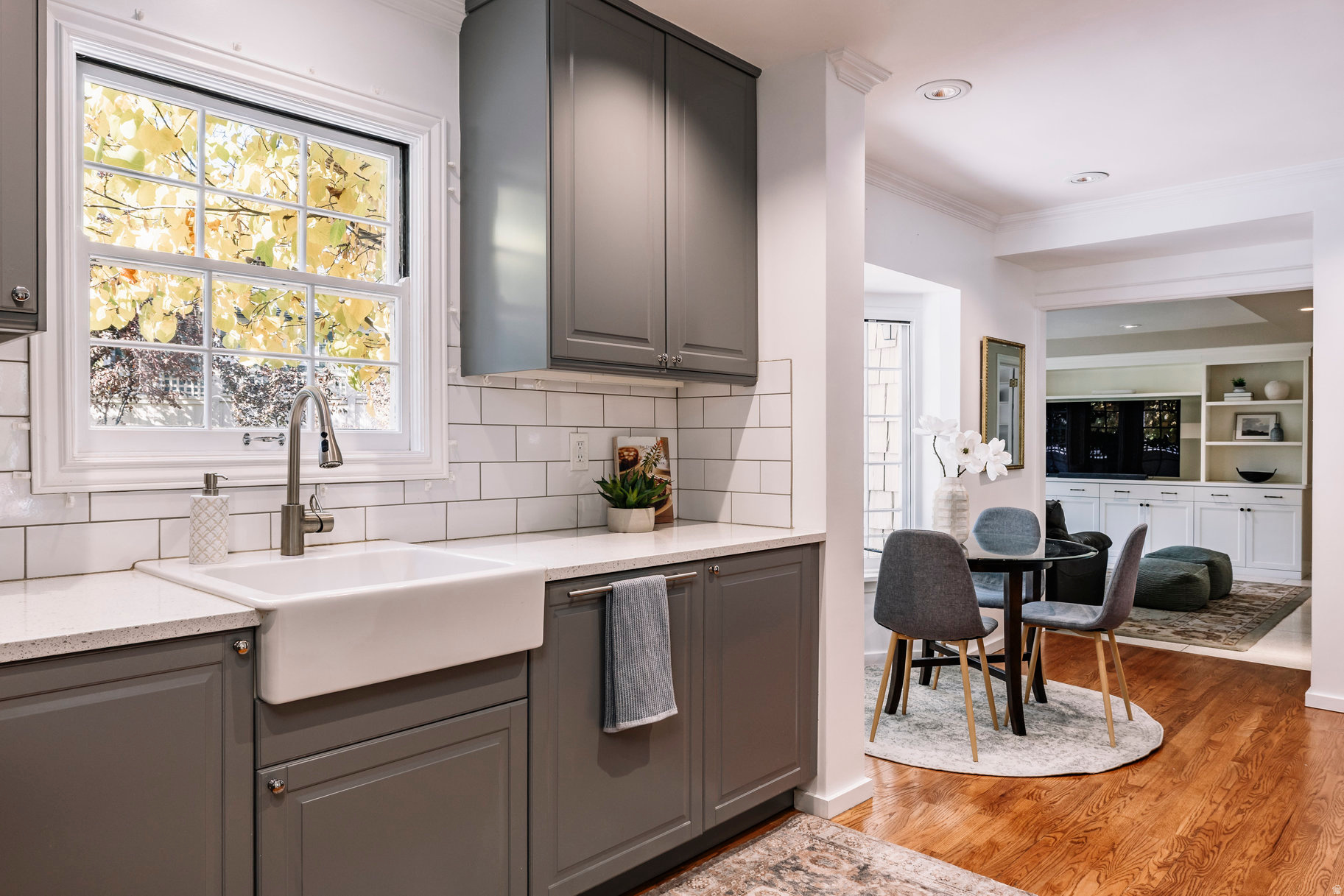 DOUGLAS PARK - Residential