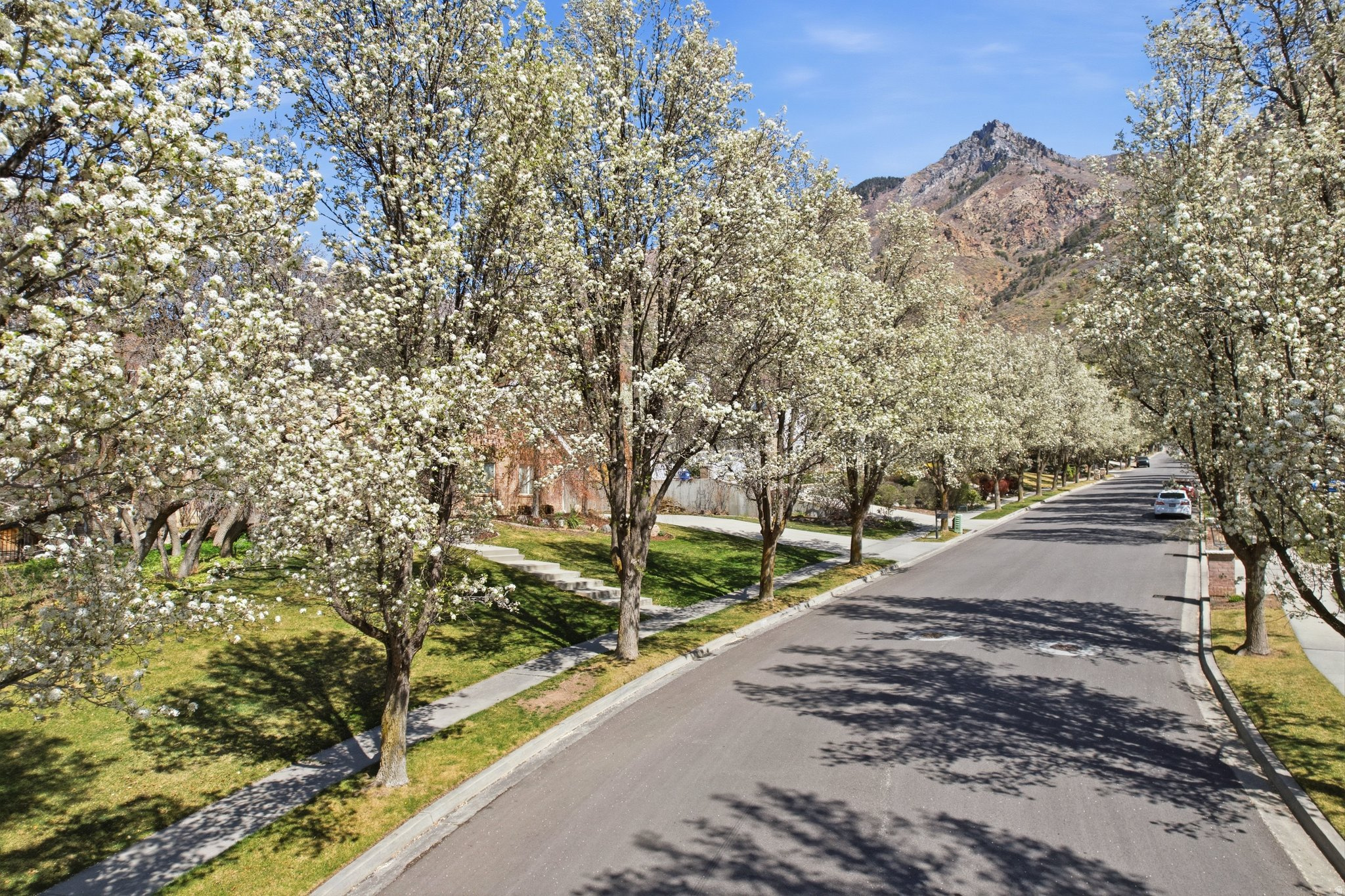 HIGH MOUNTAIN OAKS - Residential