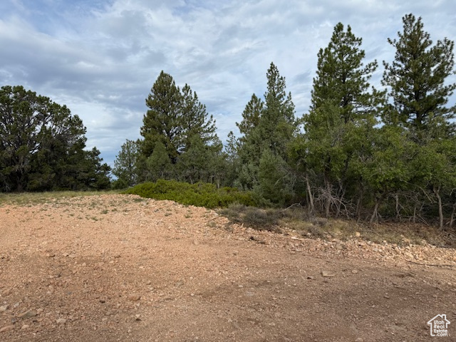 BRYCE WOODLAND ESTATE - Land