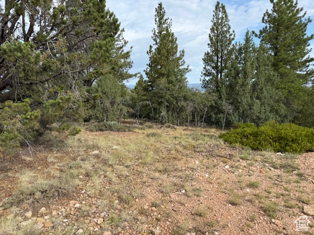 BRYCE WOODLAND ESTATE - Land