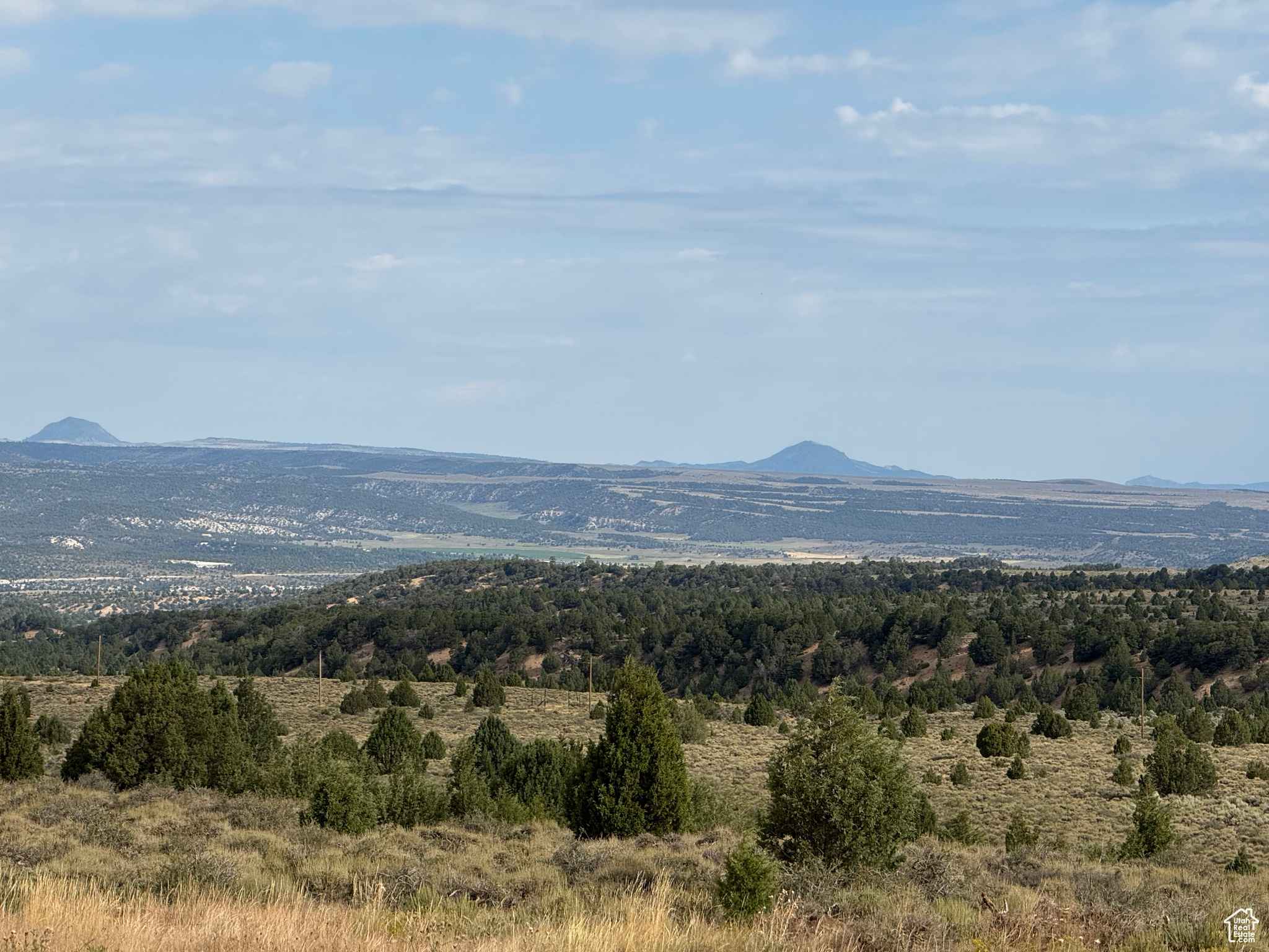 BRYCE WOODLAND ESTATE - Land