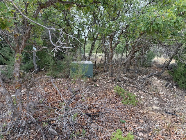 BRYCE WOODLAND ESTATE - Land