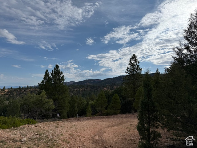 BRYCE WOODLAND ESTATE - Land