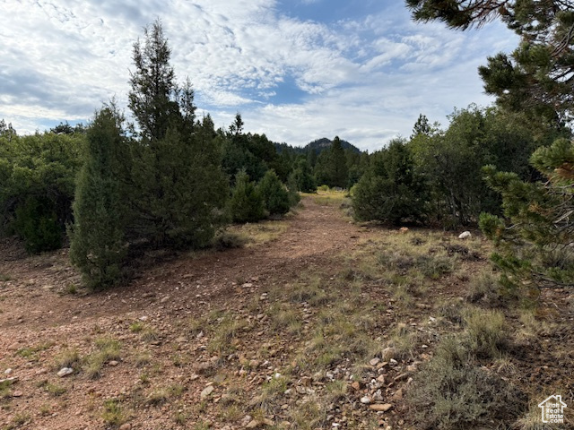 BRYCE WOODLAND ESTATE - Land