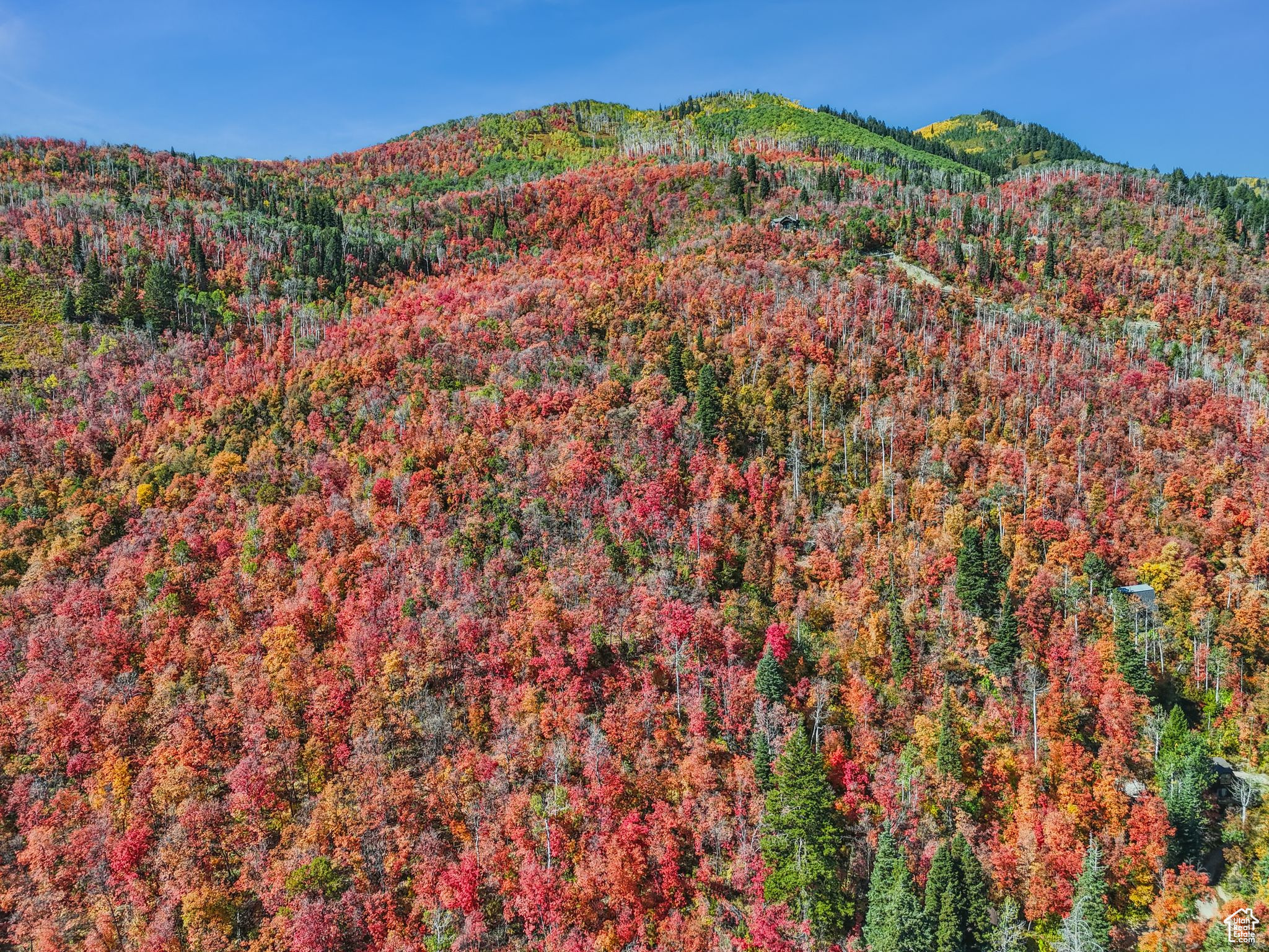 Midway, Utah 84049, United States, ,Land,Active,51381